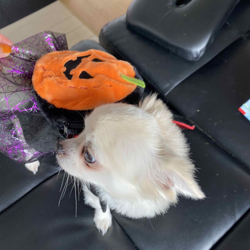 エレガンス ラ プードル オートニュアンス リクスィーズ/Elégance/プレストパウダーを使ったクチコミ(10枚目)