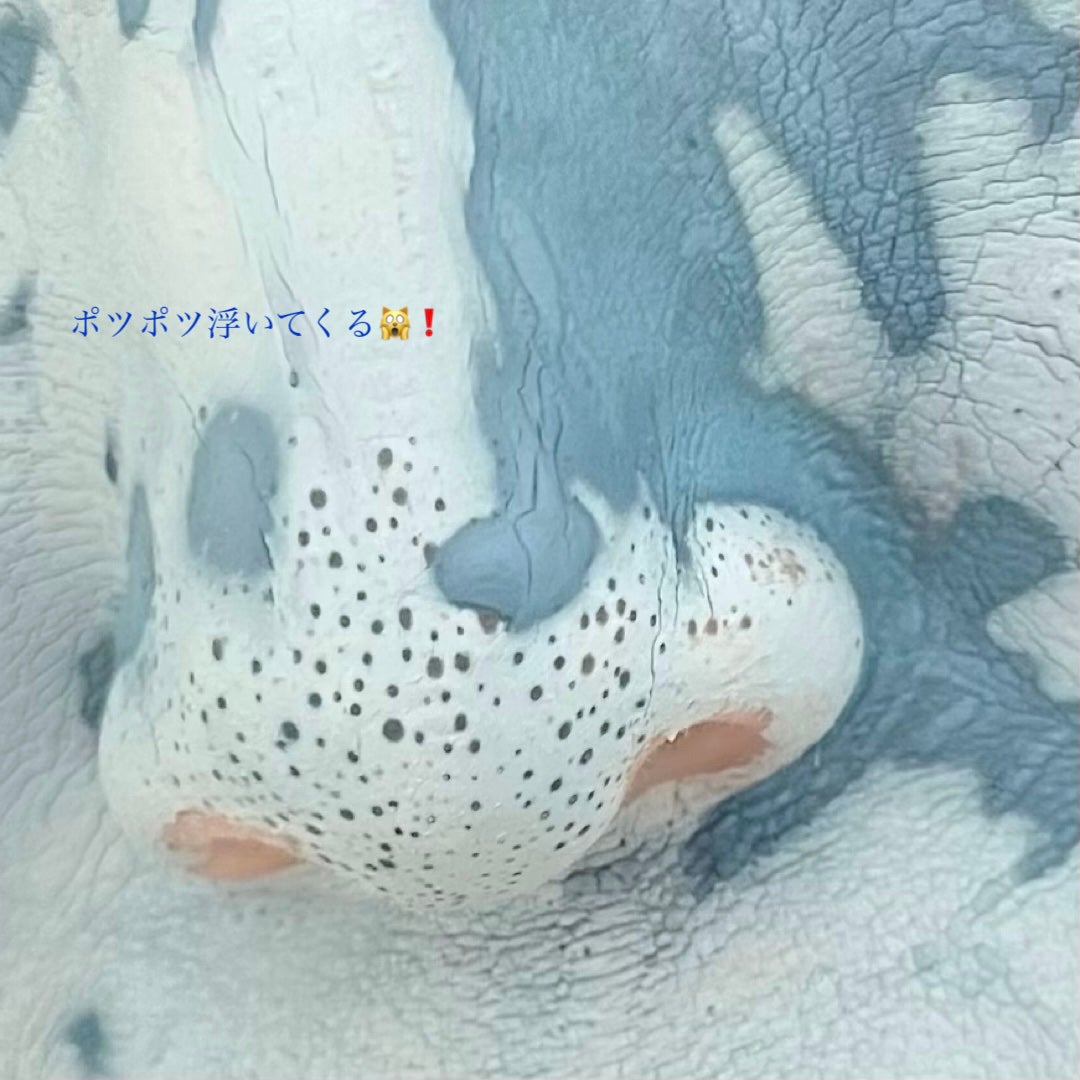 ゼロ毛穴クレイパック/MEDICUBE/洗い流すパック・マスクを使ったクチコミ(3枚目)
