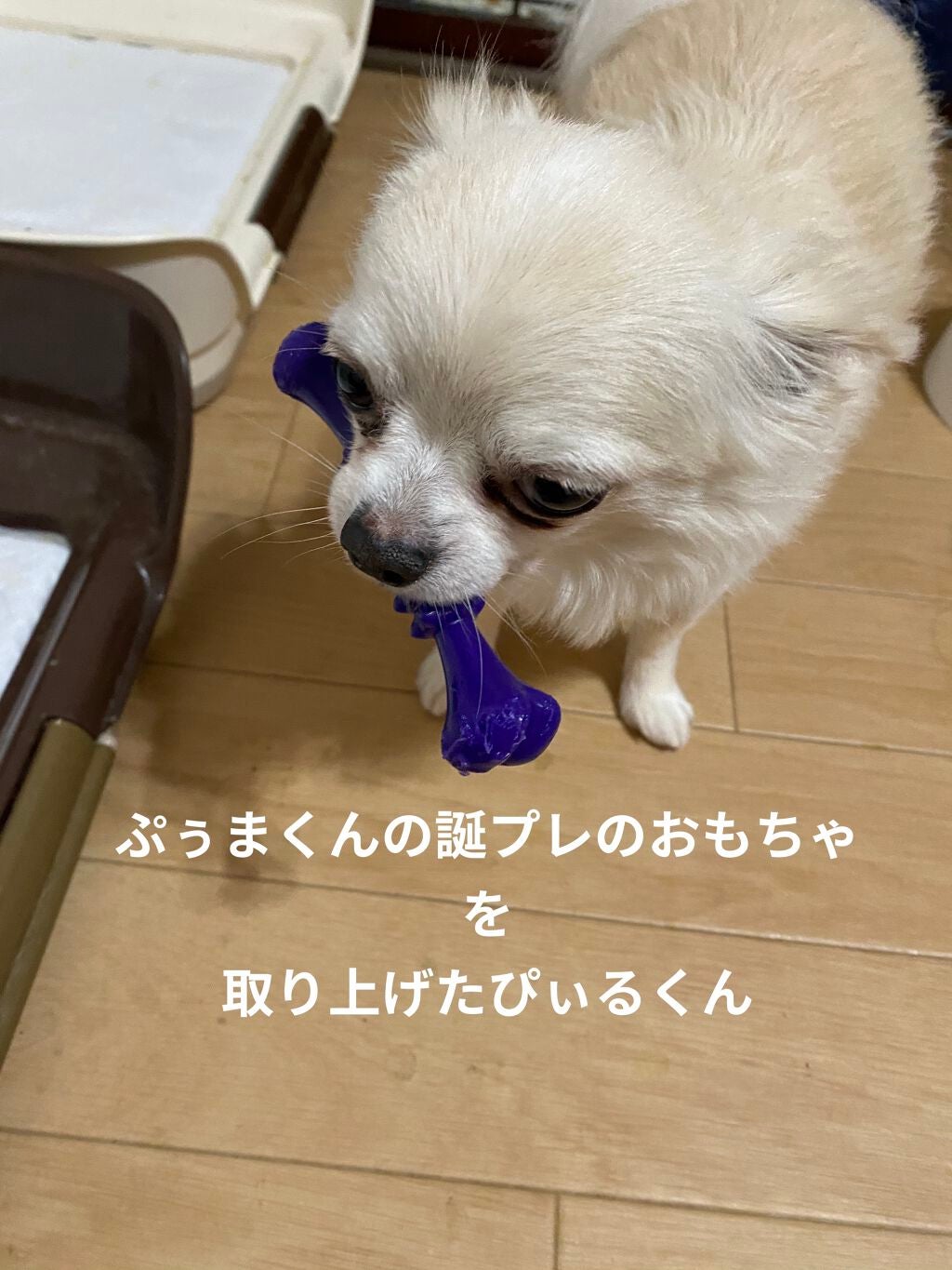 Bite Beauty Amuse Bouche Lipstick/Bite Beauty/口紅を使ったクチコミ(8枚目)