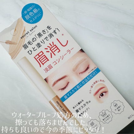 淡眉コンシーラー/シークレットサロン/眉マスカラを使ったクチコミ(5枚目)