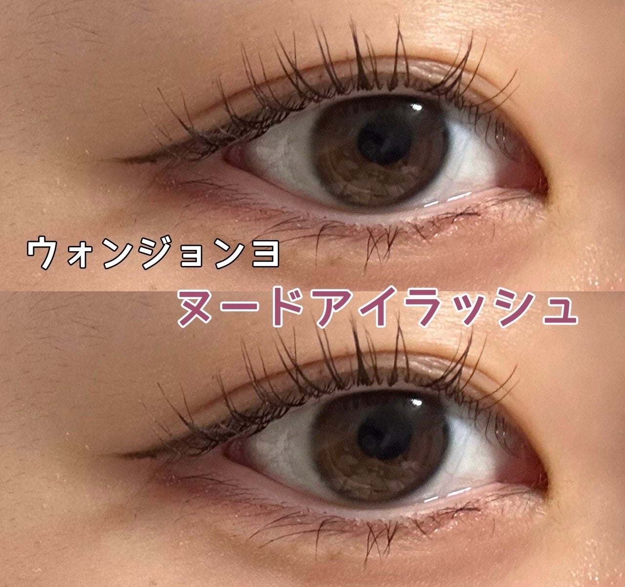ウォンジョンヨ ヌードアイラッシュ/Wonjungyo/マスカラを使ったクチコミ(1枚目)