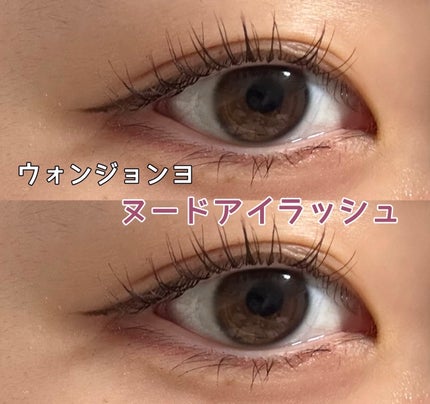 ウォンジョンヨ ヌードアイラッシュ/Wonjungyo/マスカラを使ったクチコミ(1枚目)