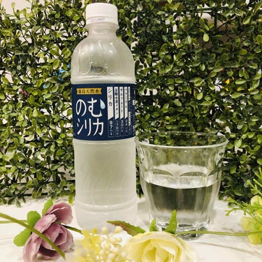 程よい硬水でミネラル補給！霧島天然水 のむシリカを飲んでいます★﻿
﻿
何百年もの歳月をかけ、地下に降りていく途中に霧島の大自然の栄養をたっぷり含んだ、このお水。﻿
このお水のミネラルは熱に強く