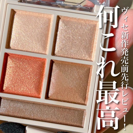 パノラマデザイン アイパレット/Visée/アイシャドウパレットを使ったクチコミ(1枚目)