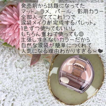 プランぷくコーデアイズ/キャンメイク/パウダーアイシャドウを使ったクチコミ(2枚目)