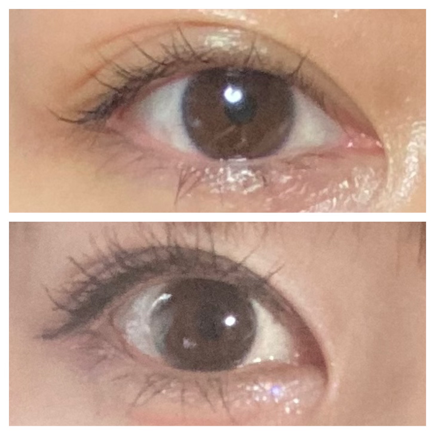 エバーカラーワンデーミリモア はじらいベイビー/エバーカラー/ワンデー（１DAY）カラコンを使ったクチコミ（2枚目）