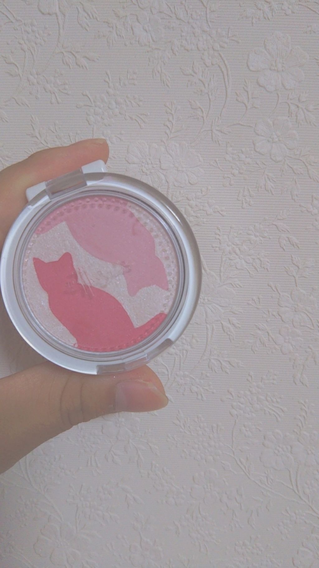 キャットチークカラー/ettusais/パウダーチークを使ったクチコミ(1枚目)