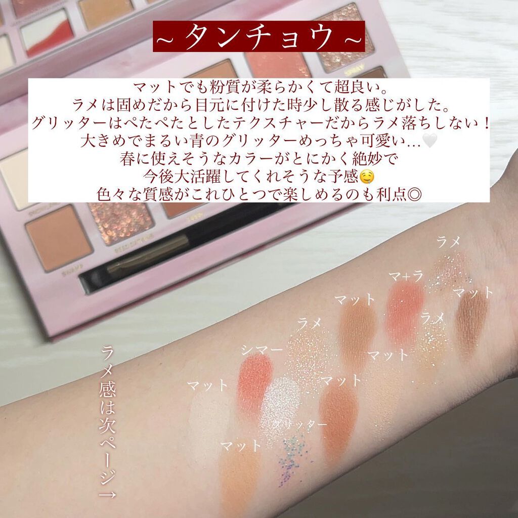 エクスプローラ12色 動物アイシャドウパレット/PERFECT DIARY/アイシャドウパレットを使ったクチコミ(3枚目)