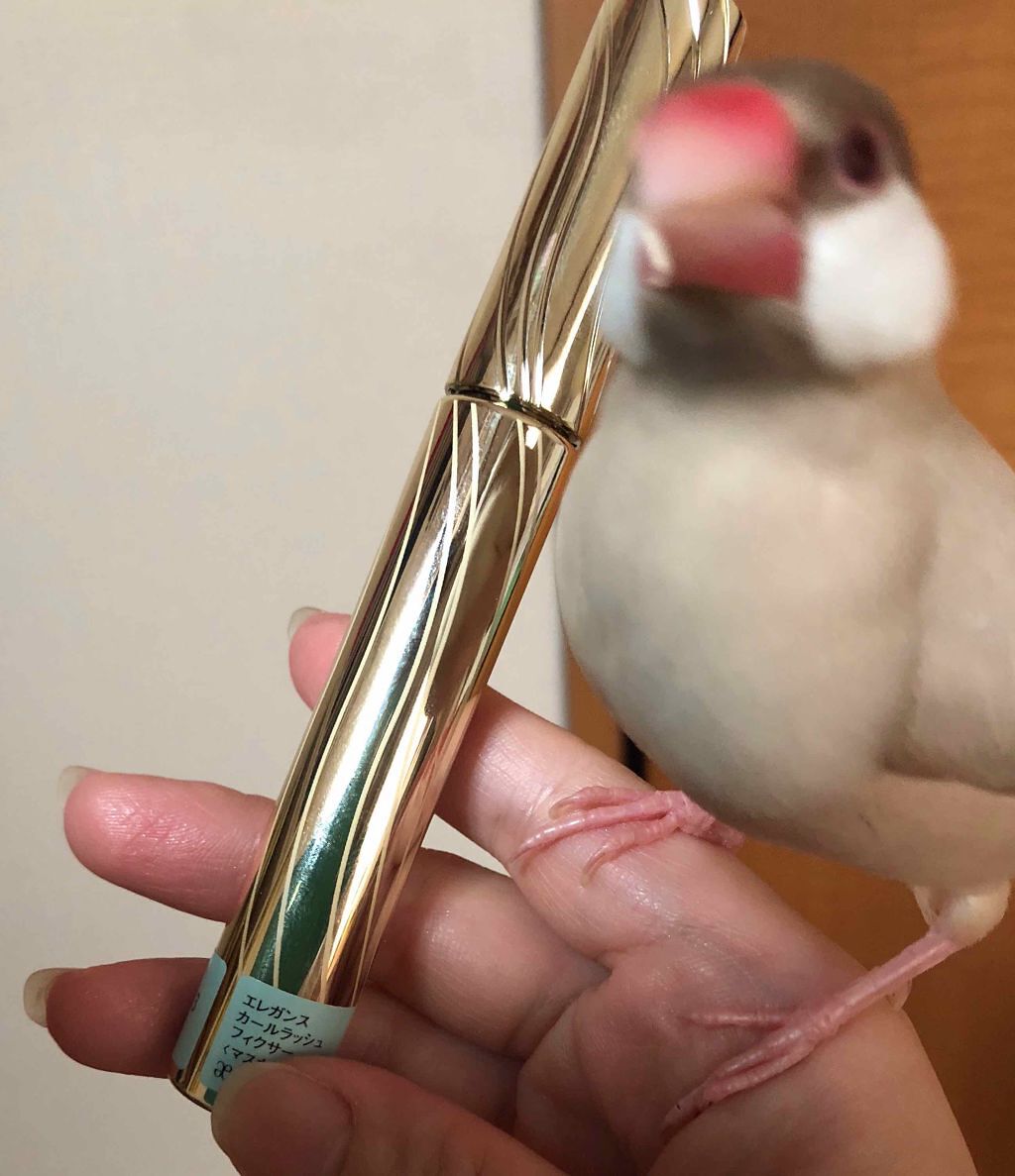 カールラッシュ フィクサー/Elégance/マスカラ下地を使ったクチコミ(2枚目)