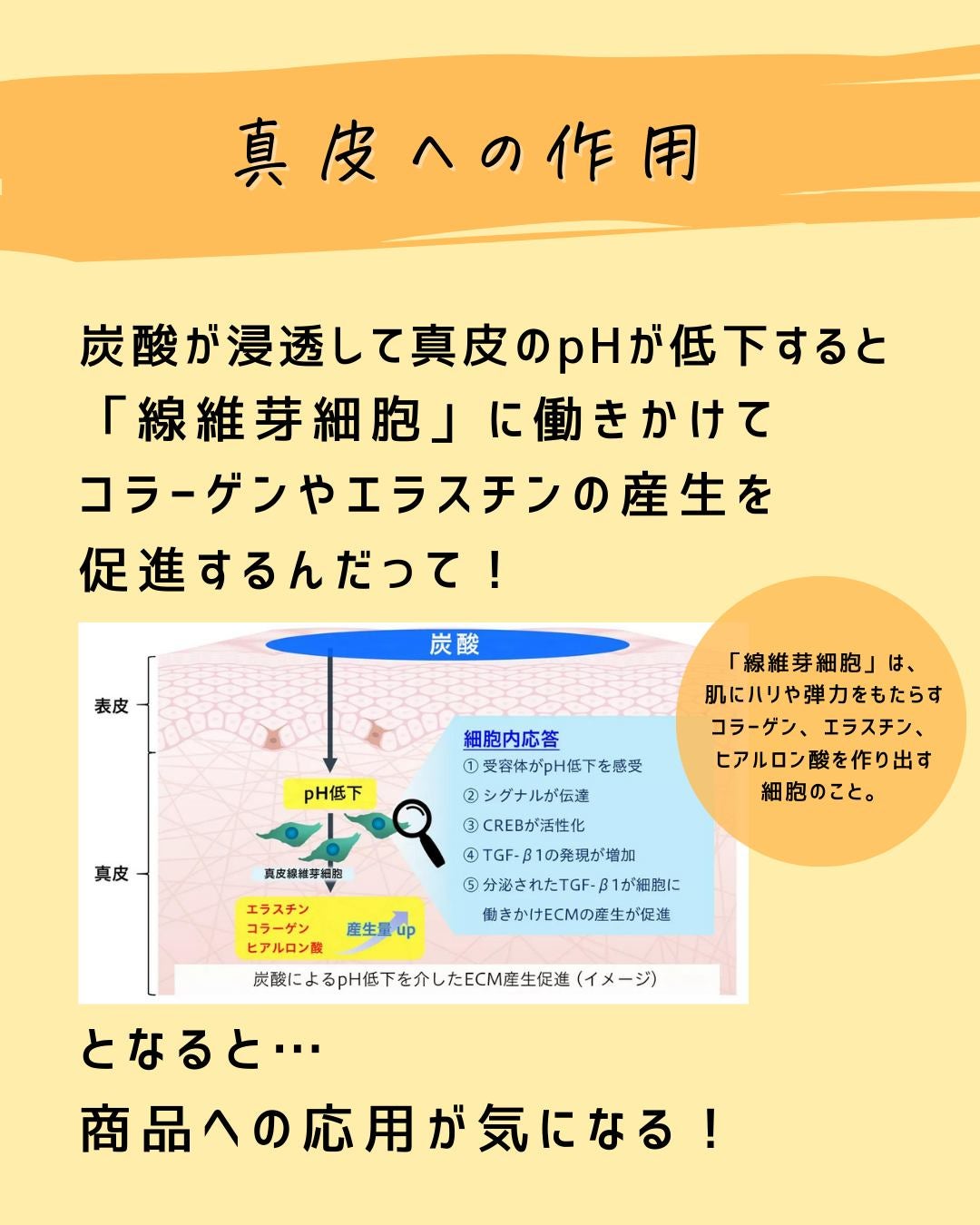 とまと村長@化粧品研究者 on LIPS 「←スキンケアマニアは要チェック!化粧品会社に勤めているとまと村..」(6枚目)