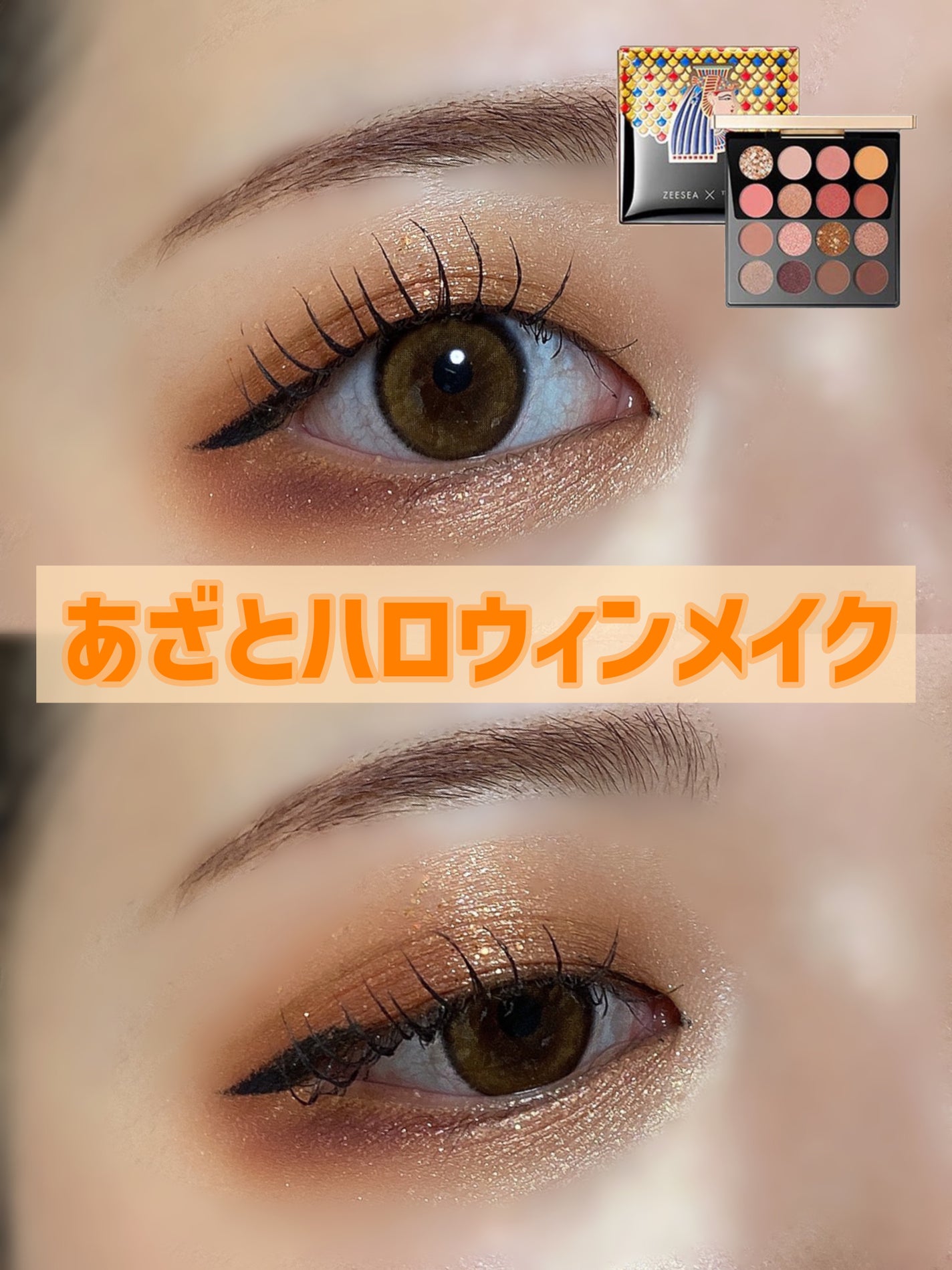 大英博物館 エジプトシリーズ アイシャドウパレット/ZEESEA/アイシャドウパレットを使ったクチコミ(1枚目)