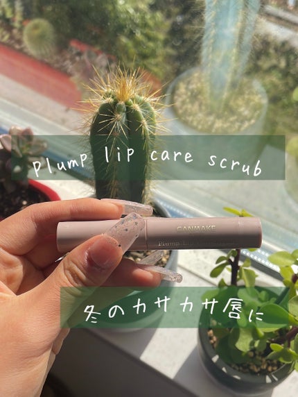 プランプリップケアスクラブ/キャンメイク/リップスクラブを使ったクチコミ(1枚目)
