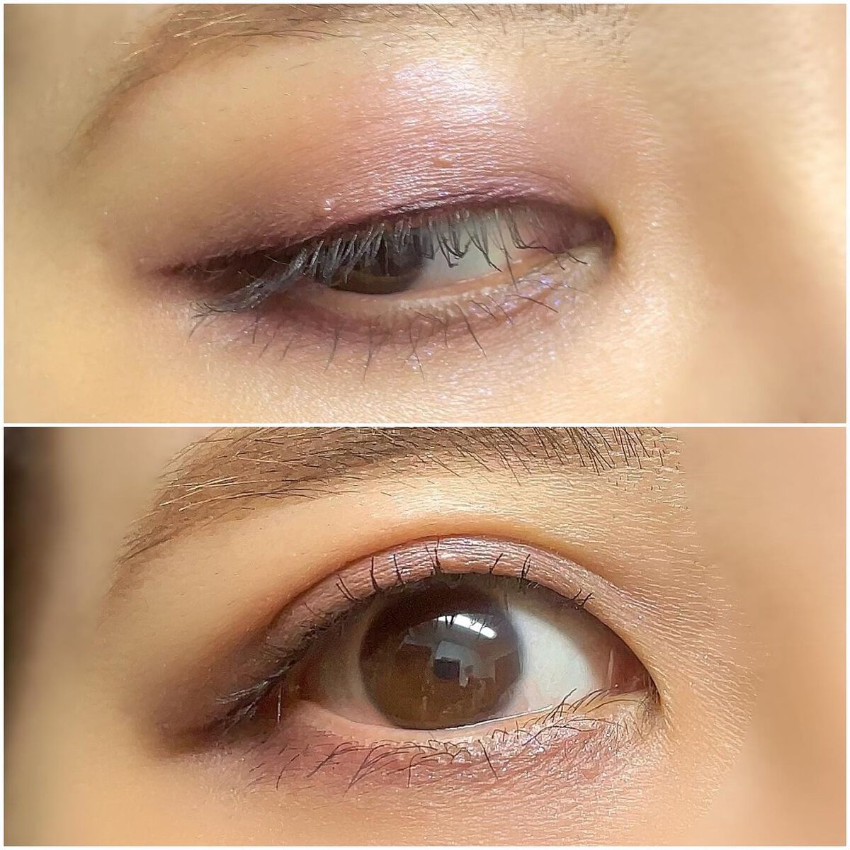 メイクブラシ7本セット/EIGSHOW/その他キットセットを使ったクチコミ(6枚目)