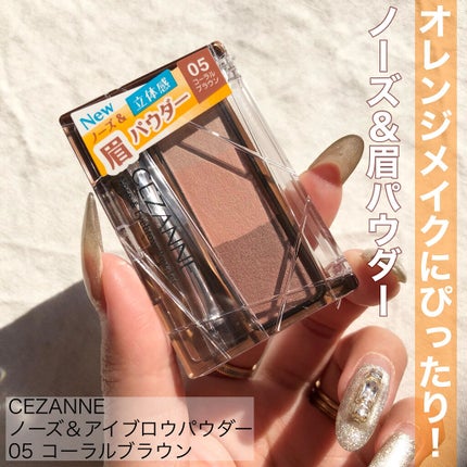 ノーズ&アイブロウパウダー/CEZANNE/パウダーアイブロウを使ったクチコミ(1枚目)