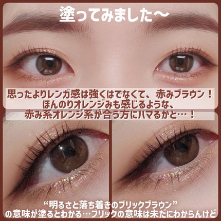 シャドーフラッシュ /MAJOLICA MAJORCA/アイシャドウパレットを使ったクチコミ(9枚目)