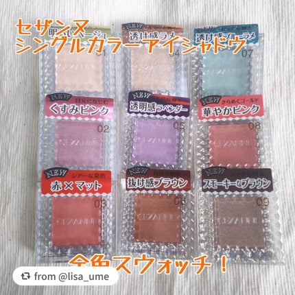 シングルカラーアイシャドウ/CEZANNE/単色アイシャドウを使ったクチコミ(1枚目)