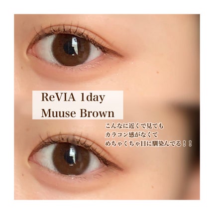 ReVIA CIRCLE 1day/ReVIA/ワンデー(1DAY)カラコンを使ったクチコミ(2枚目)