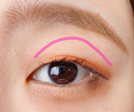 トーンアップアイシャドウ/CEZANNE/アイシャドウパレットを使ったクチコミ(2枚目)