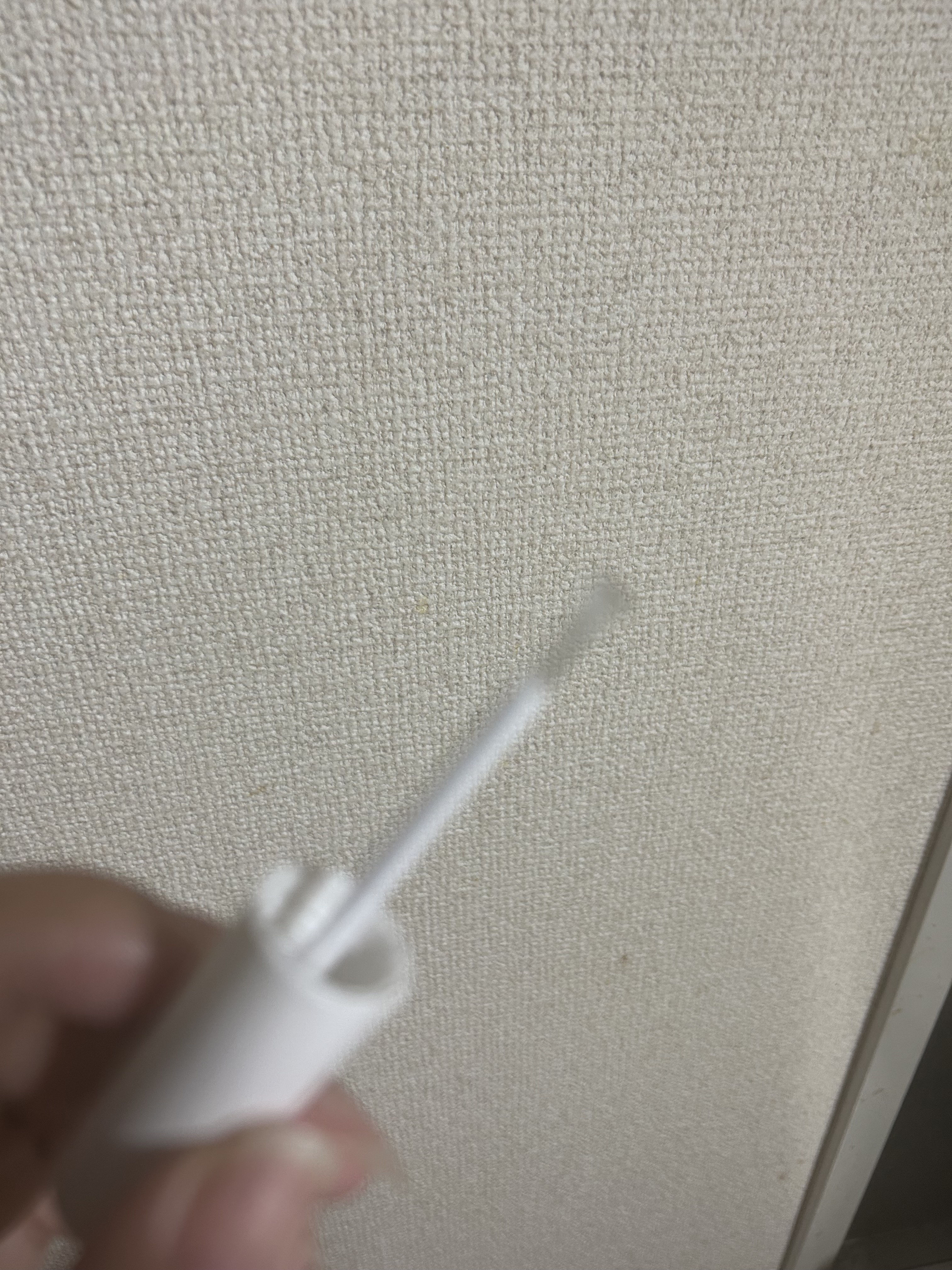 アイブロウコートEX/CEZANNE/アイブロウコートを使ったクチコミ（3枚目）