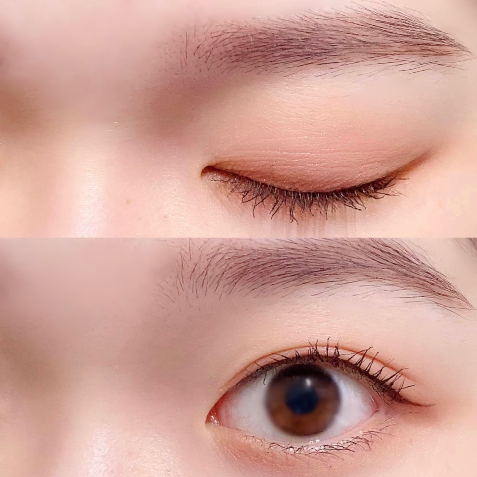 シルキースフレアイズ（マットタイプ）/キャンメイク/アイシャドウパレットを使ったクチコミ（3枚目）