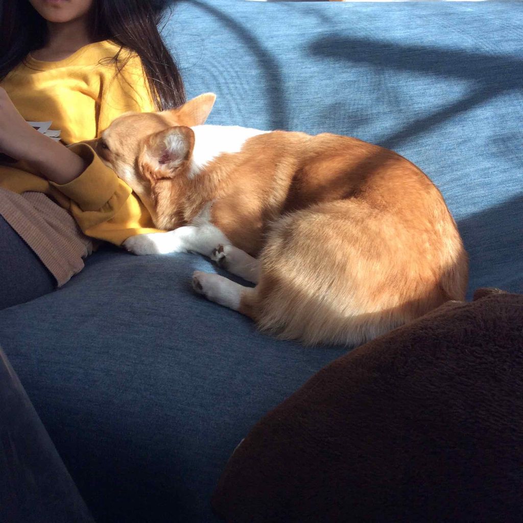 シングルカラーアイシャドウ/CEZANNE/単色アイシャドウを使ったクチコミ(3枚目)