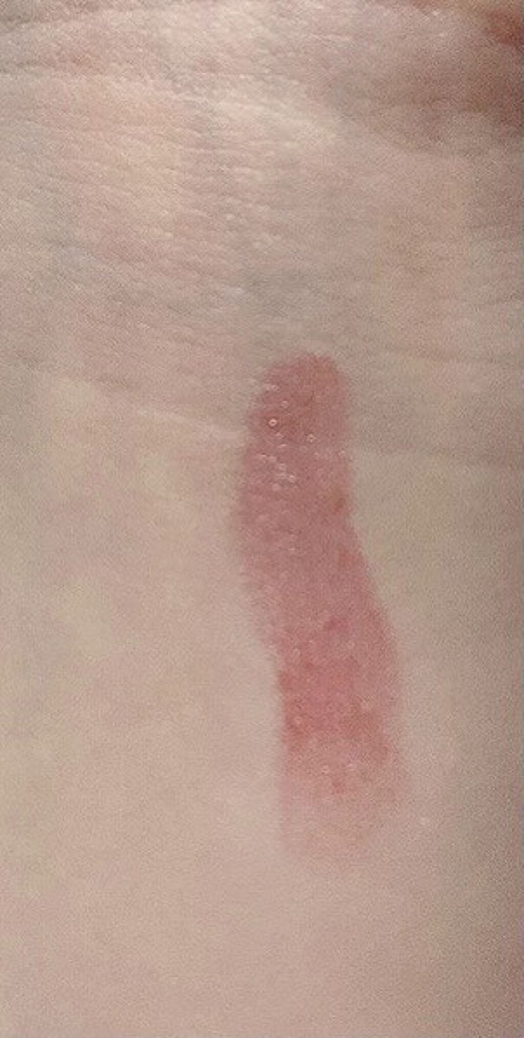 ケイト リップモンスター/KATE/口紅を使ったクチコミ(2枚目)