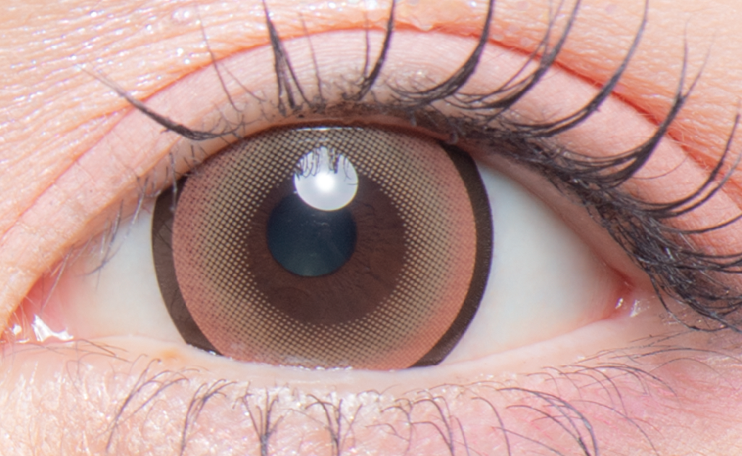 colors 1day ナチュラルリングブラウン