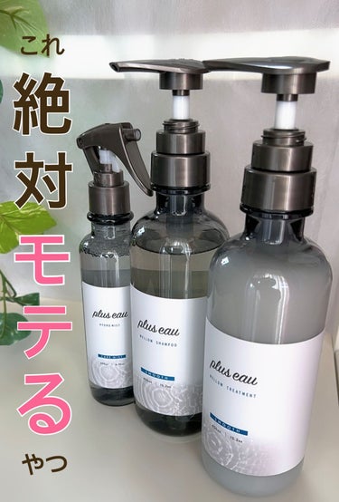 ハイドロミストN/plus eau/アウトバストリートメントを使ったクチコミ（1枚目）