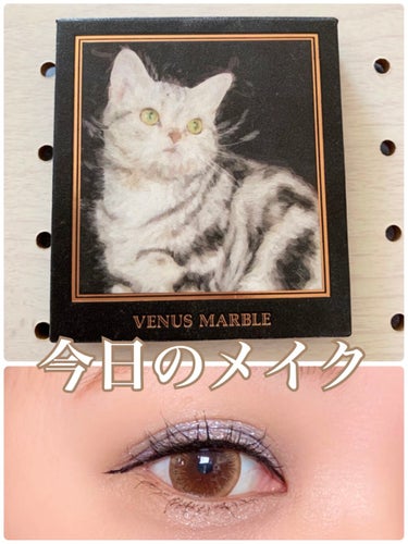 Venus Marble アイシャドウキャットシリーズ/Venus Marble/パウダーアイシャドウを使ったクチコミ（1枚目）