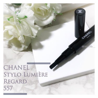 スティロ ルミエール ルガール 557 エクラ/CHANEL/リキッドアイシャドウを使ったクチコミ（1枚目）