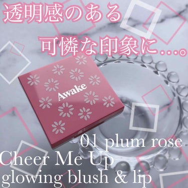 チアミーアップ グロウイング ブラッシュ＆リップ 02 cinnamon beige/Awake/口紅を使ったクチコミ（1枚目）