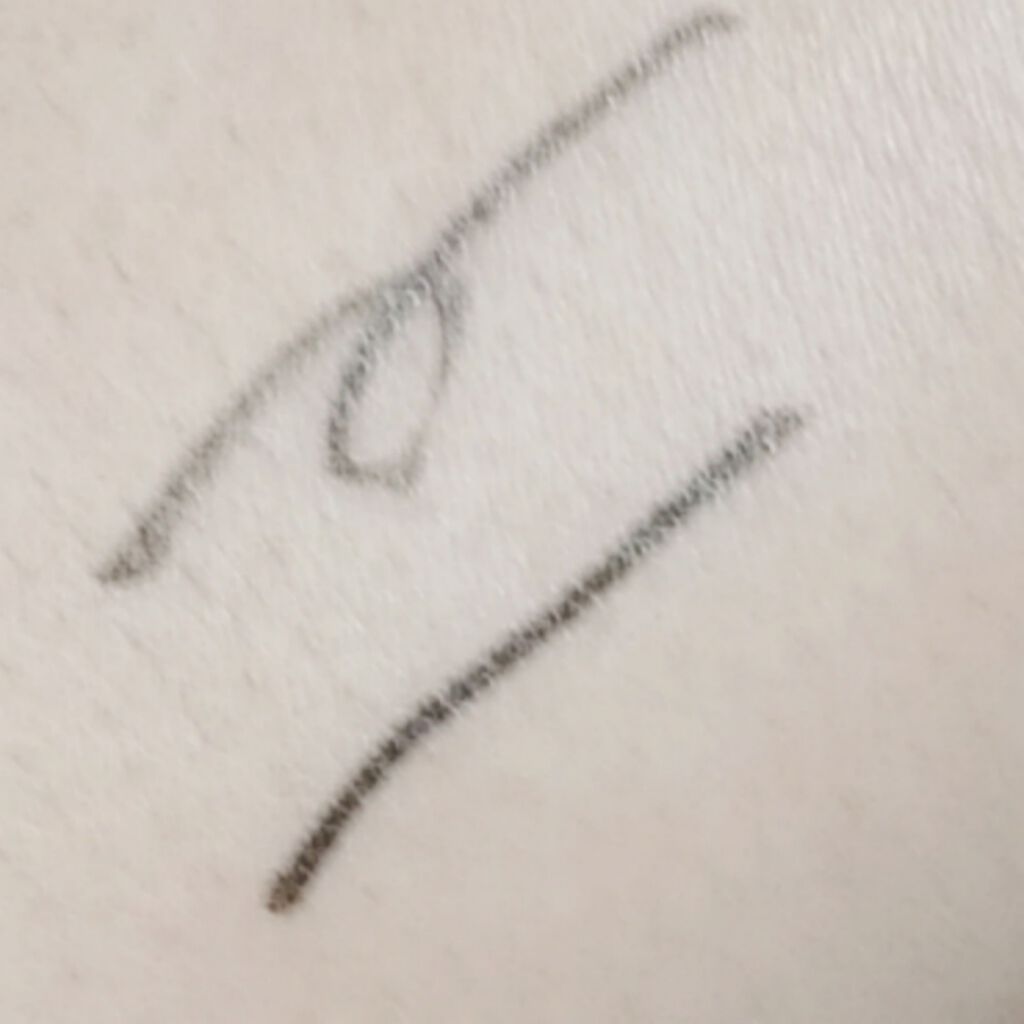 ラスティングリキッドライナー/キャンメイク/リキッドアイライナーを使ったクチコミ（2枚目）