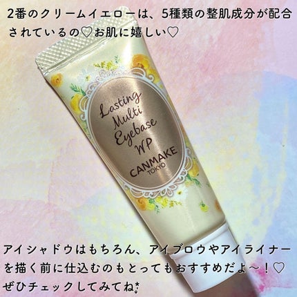 ラスティングマルチアイベース WP/キャンメイク/アイシャドウベースを使ったクチコミ(5枚目)