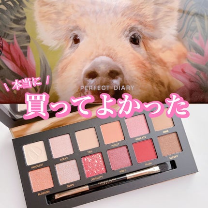 エクスプローラ12色 動物アイシャドウパレット 子豚 エクスプローラ12色 動物アイシャドウパレット 子豚
