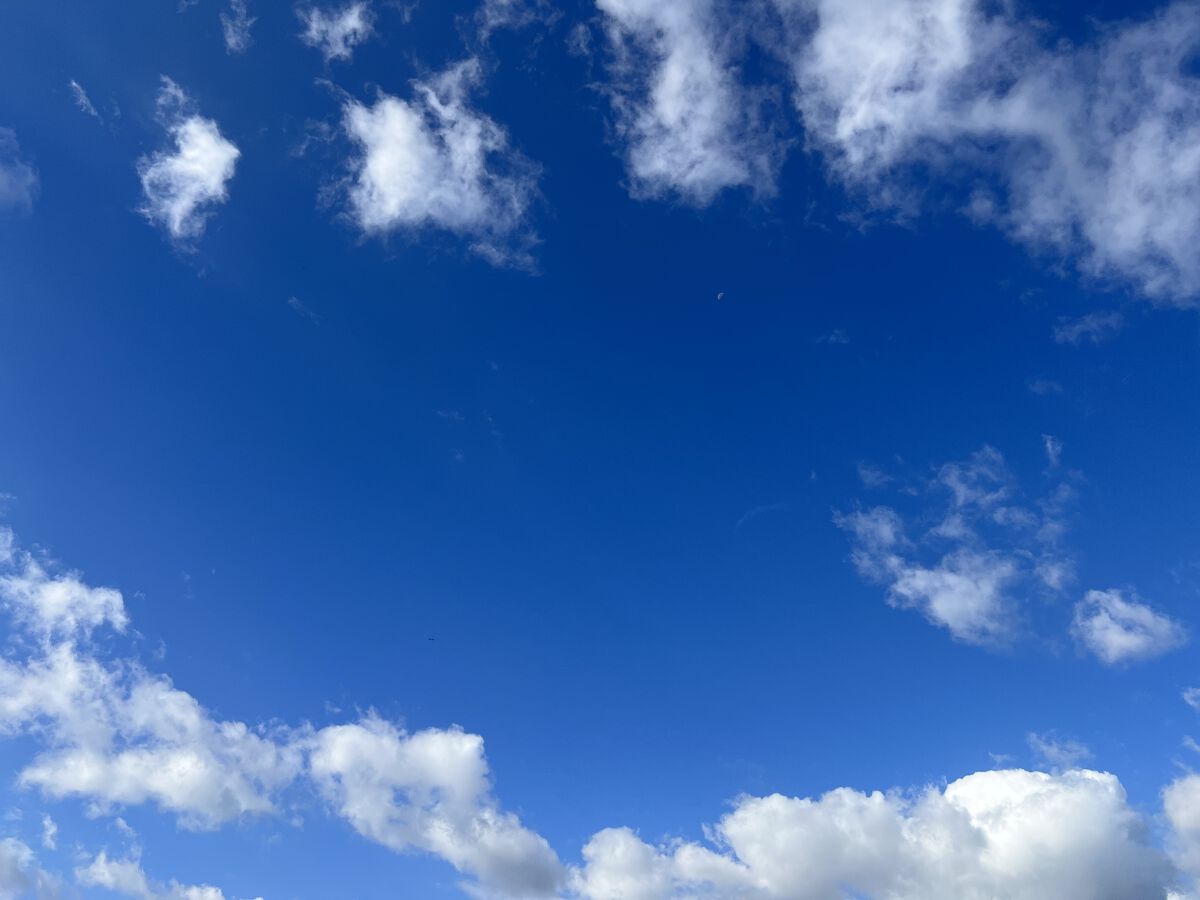 プレスド アイシャドー（レフィル）/shu uemura/単色アイシャドウを使ったクチコミ（3枚目）