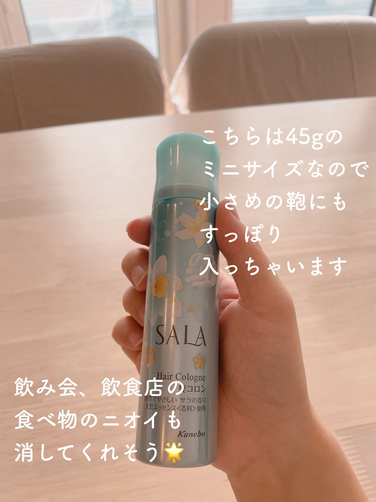 髪コロンB(サラの香り)/SALA/プレスタイリング・寝ぐせ直しを使ったクチコミ(5枚目)