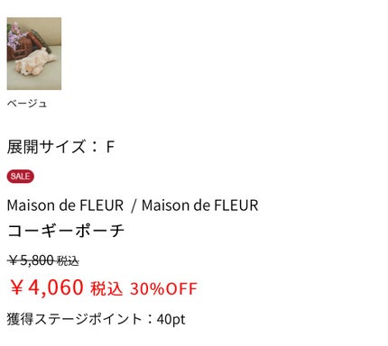 コーギーポーチ/Maison de FLEUR/化粧ポーチを使ったクチコミ(5枚目)