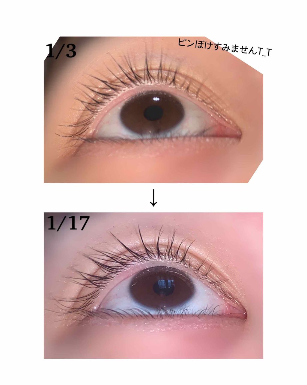 ラッシュジェリードロップ EX/MAJOLICA MAJORCA/まつげ美容液を使ったクチコミ(2枚目)