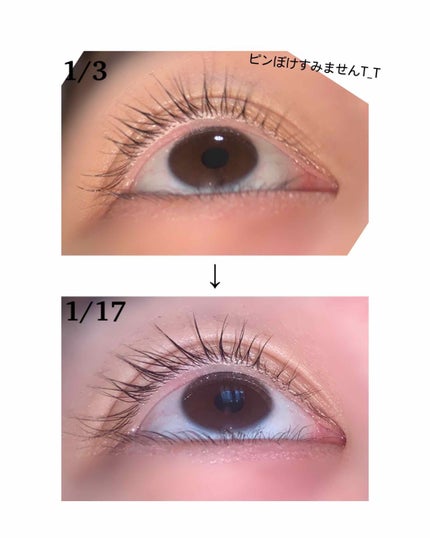 ラッシュジェリードロップ EX/MAJOLICA MAJORCA/まつげ美容液を使ったクチコミ(2枚目)