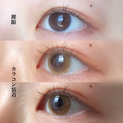 Haruhana Lily Brown/otr/カラーコンタクトレンズの画像