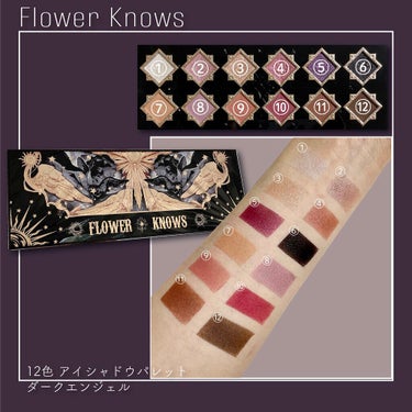 リトルエンジェル12色アイシャドウパレット/FlowerKnows/アイシャドウパレットを使ったクチコミ（2枚目）