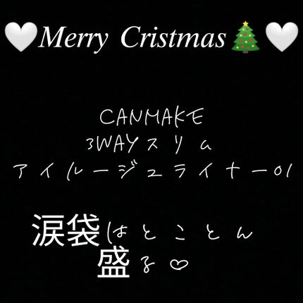 3wayスリムアイルージュライナー/キャンメイク/リキッドアイライナーを使ったクチコミ(1枚目)