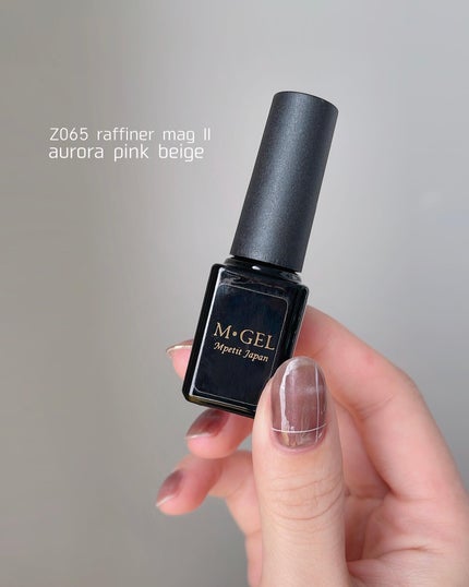 aiainail_@セルフネイル on LIPS 「【即完売!話題のマグネットネイル第2弾🫧】エムプティジャパ..」(5枚目)