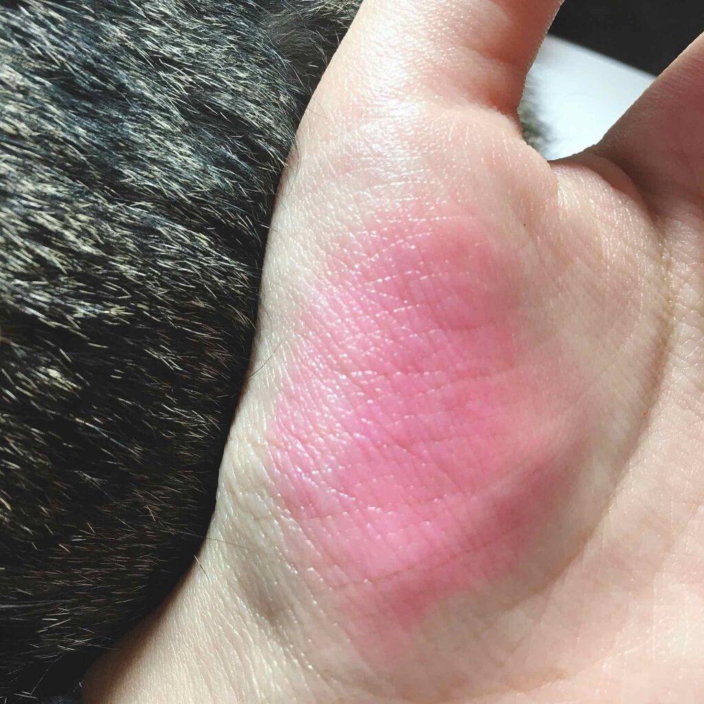 ステイオンバームルージュ/キャンメイク/口紅を使ったクチコミ(2枚目)