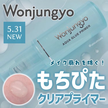 ウォンジョンヨ アクアグルー プライマー/Wonjungyo/化粧下地を使ったクチコミ（1枚目）