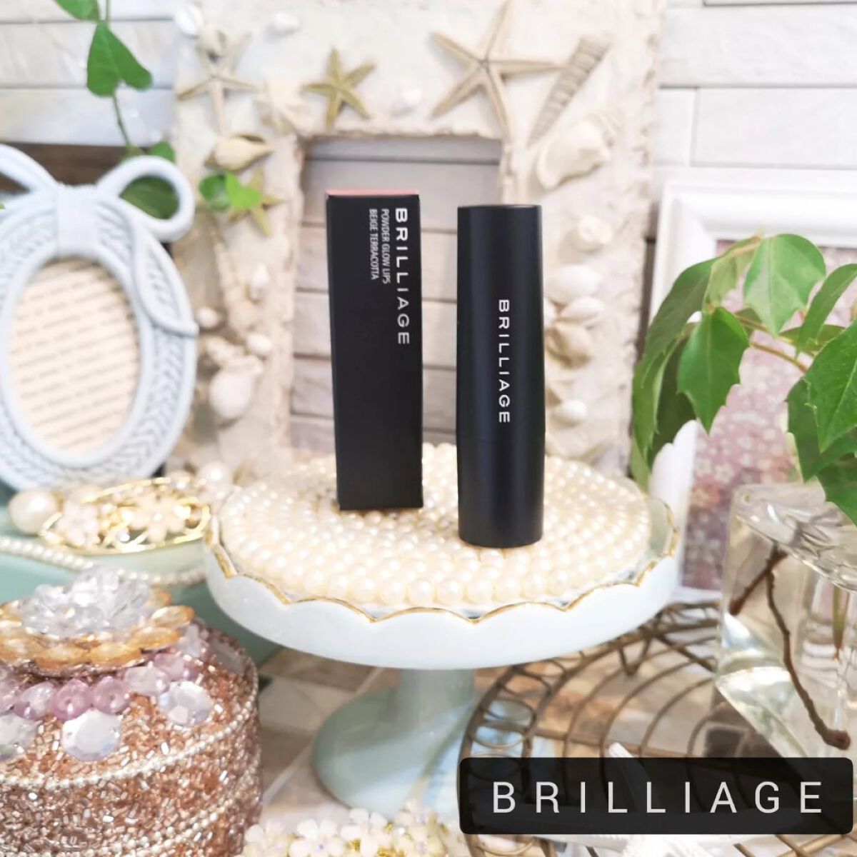 パウダーグローリップス/ブリリアージュ/口紅を使ったクチコミ（1枚目）