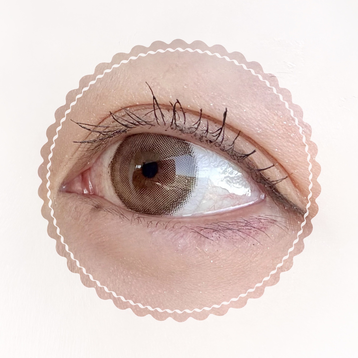 パリジェンヌラッシュリフトマスカラ/Paris./マスカラを使ったクチコミ（3枚目）