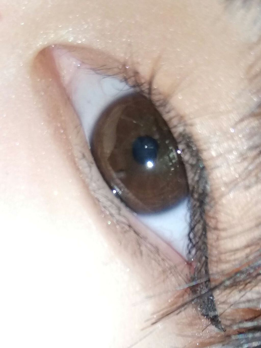 リキッド アイライナー 筆ペンタイプ/ちふれ/リキッドアイライナーを使ったクチコミ(1枚目)