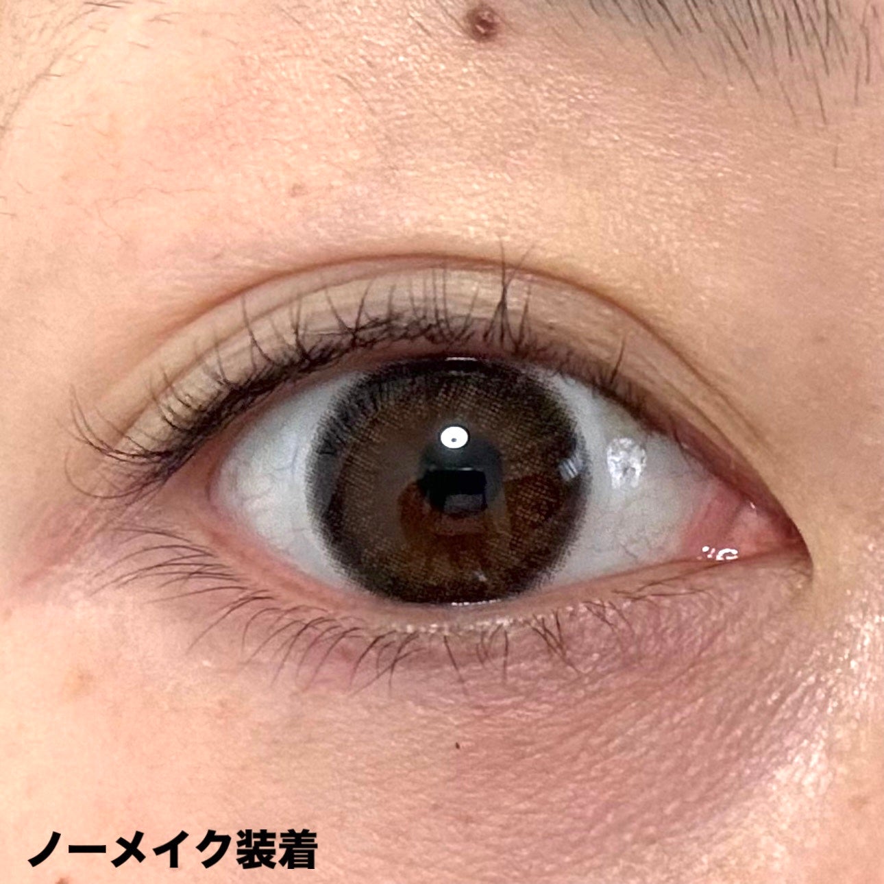 ramurie ラムリエ/ramurie/ワンデー(1DAY)カラコンを使ったクチコミ(5枚目)