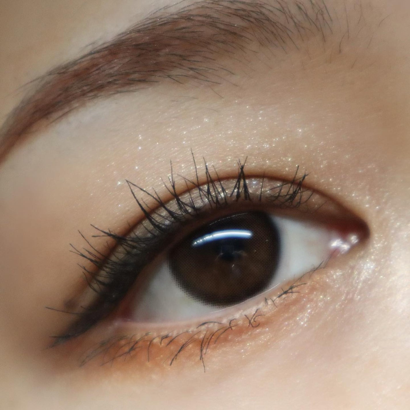 シグニチャー カラー アイズ/SUQQU/アイシャドウパレットを使ったクチコミ(6枚目)